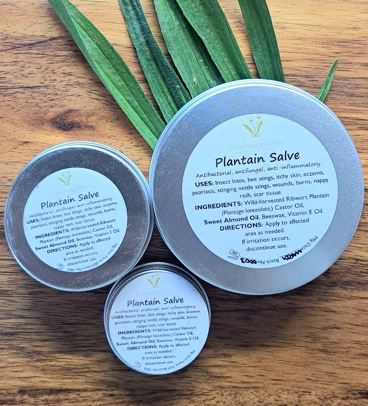 Plantain Salve