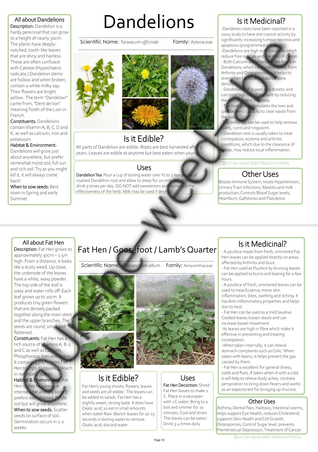 Un-be-weed-able! Handy Herbs by Bec Ennis