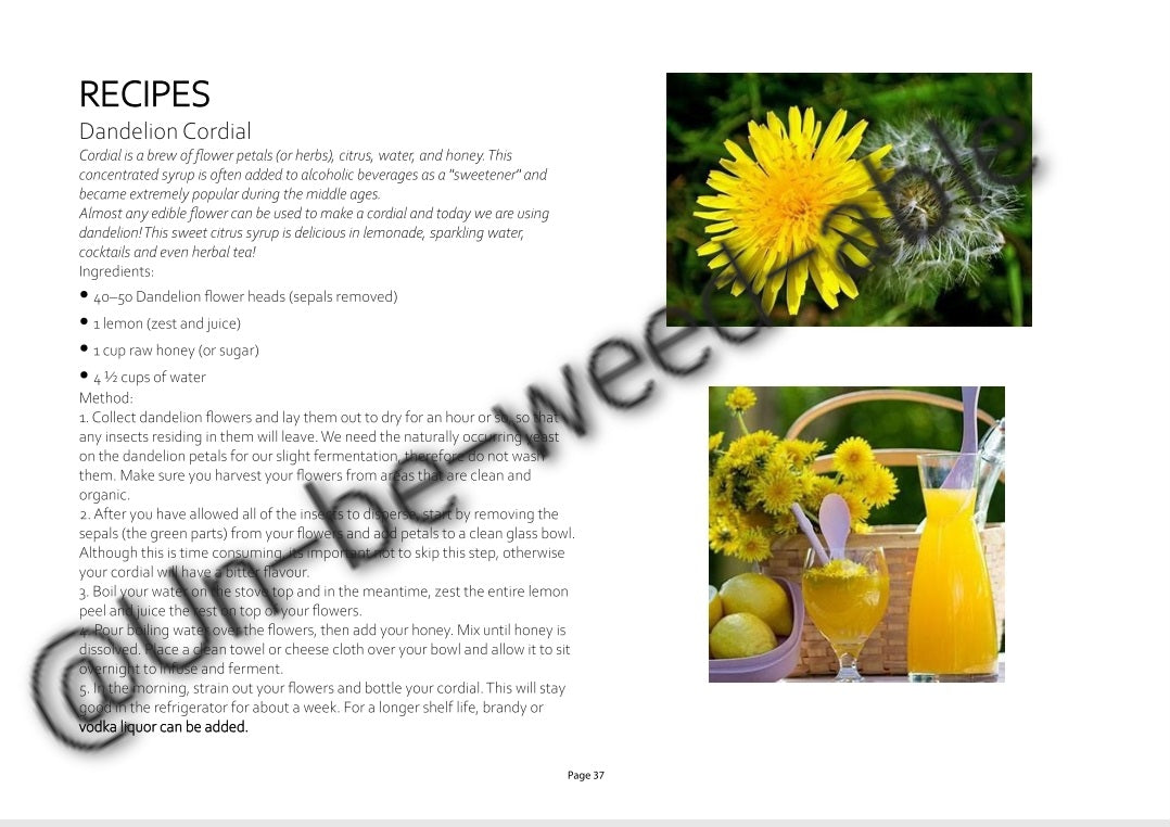 Un-be-weed-able! Handy Herbs by Bec Ennis