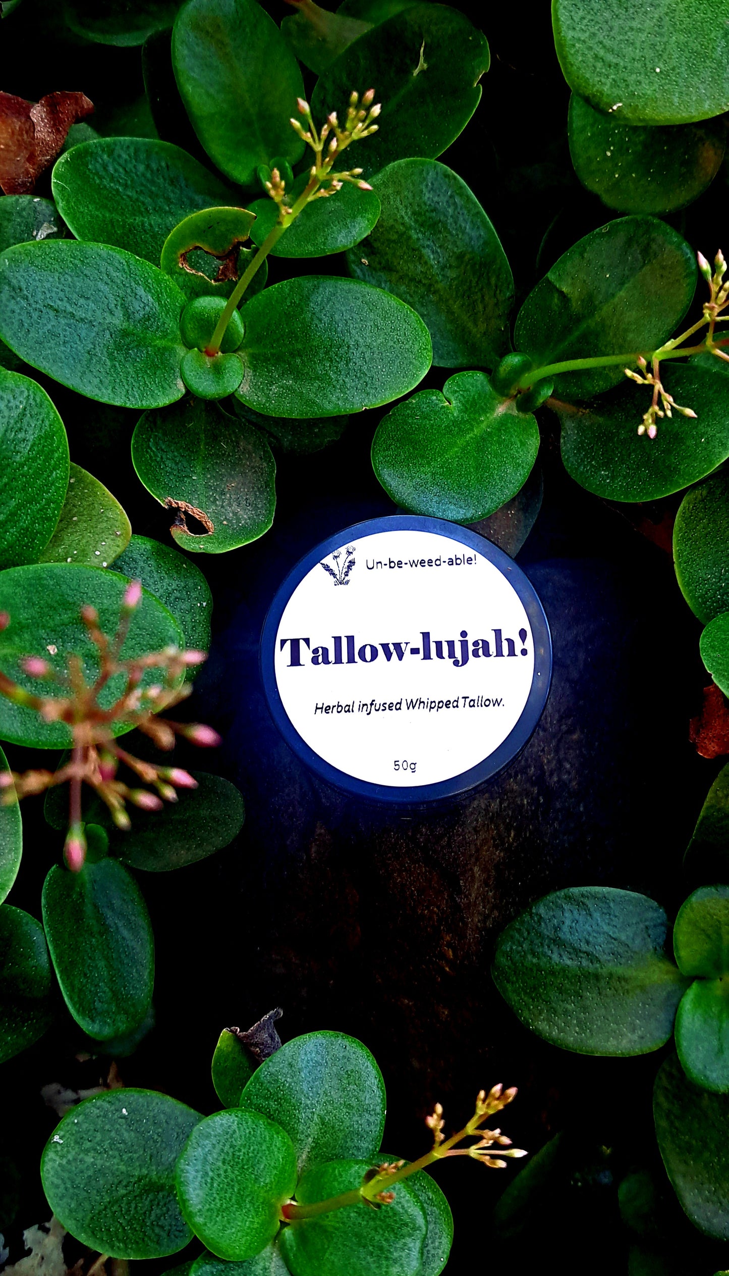 Tallow-lujah!